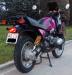 foto8